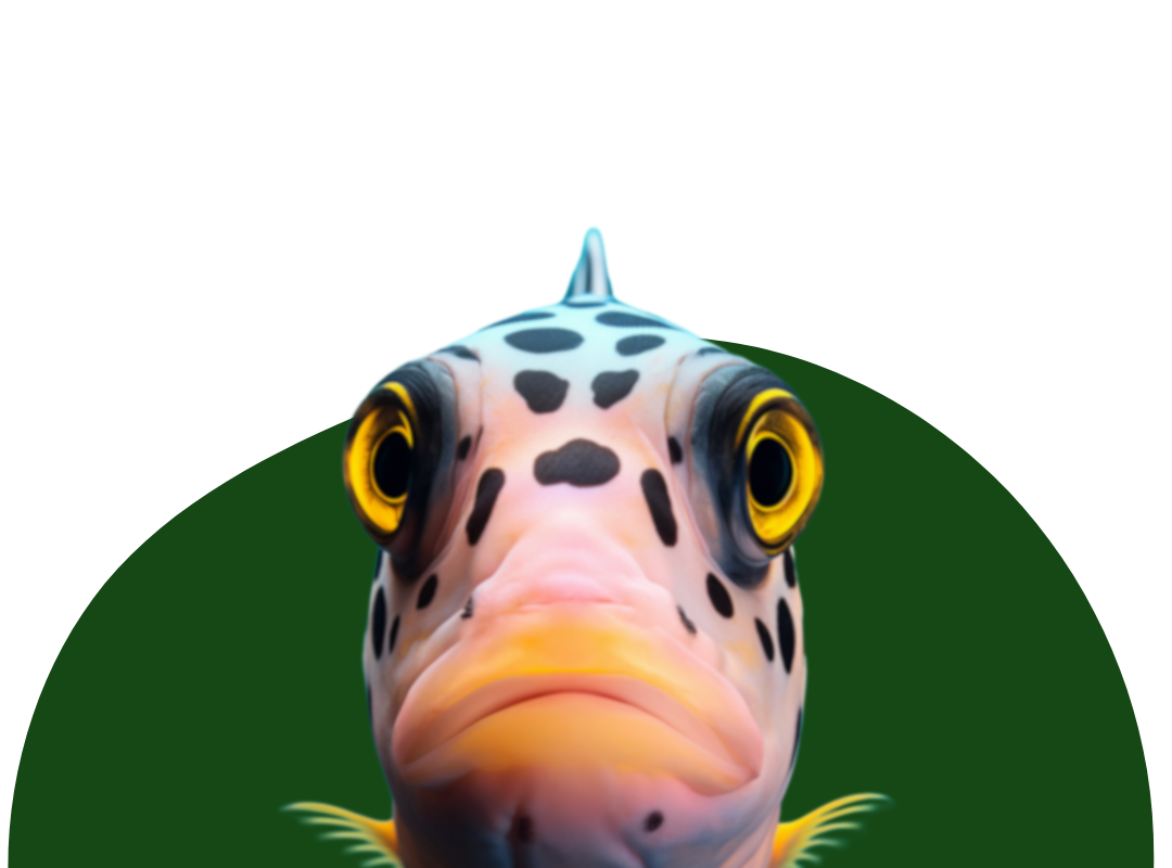 Poisson