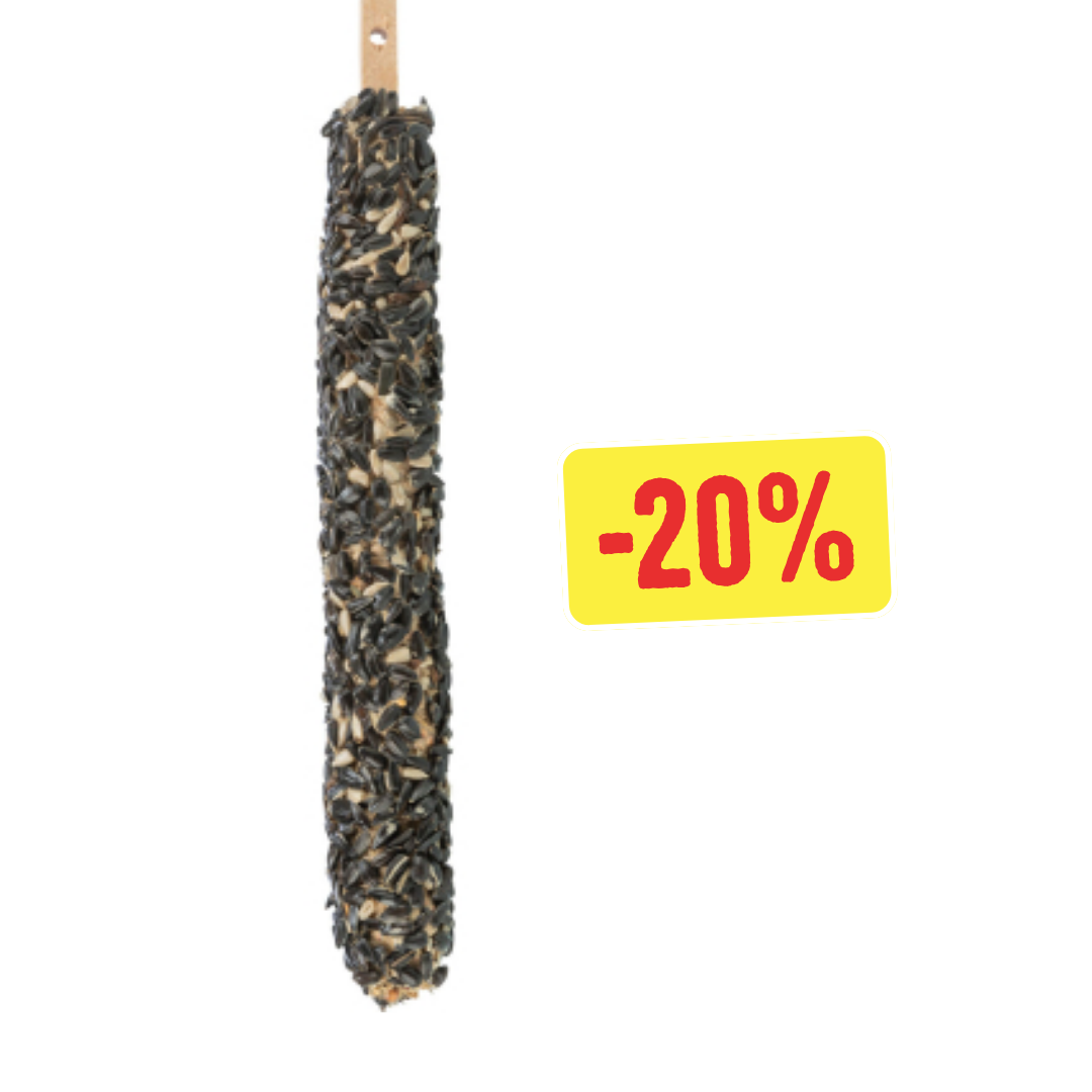 Bâton de nourriture