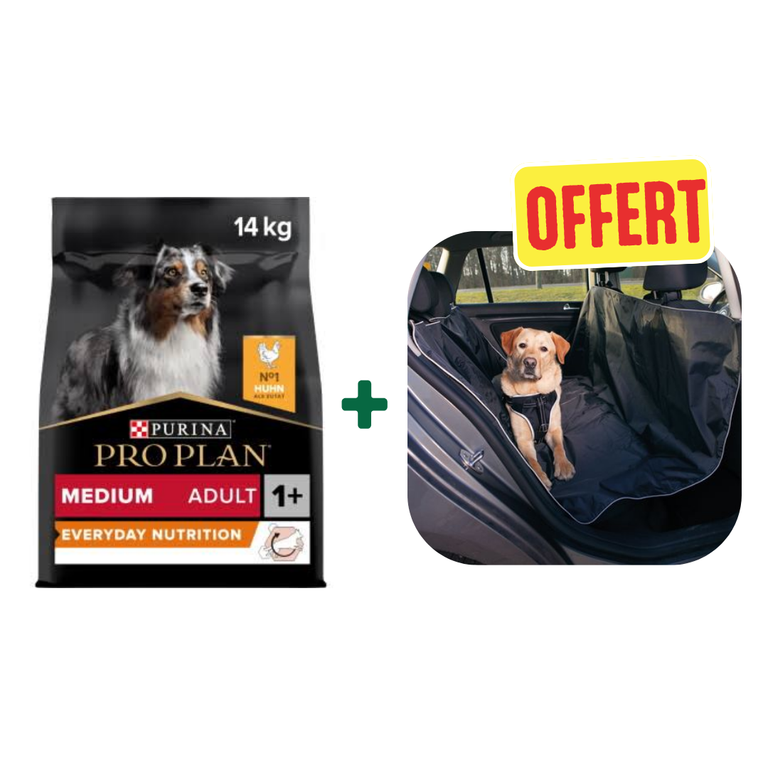 Pro Plan