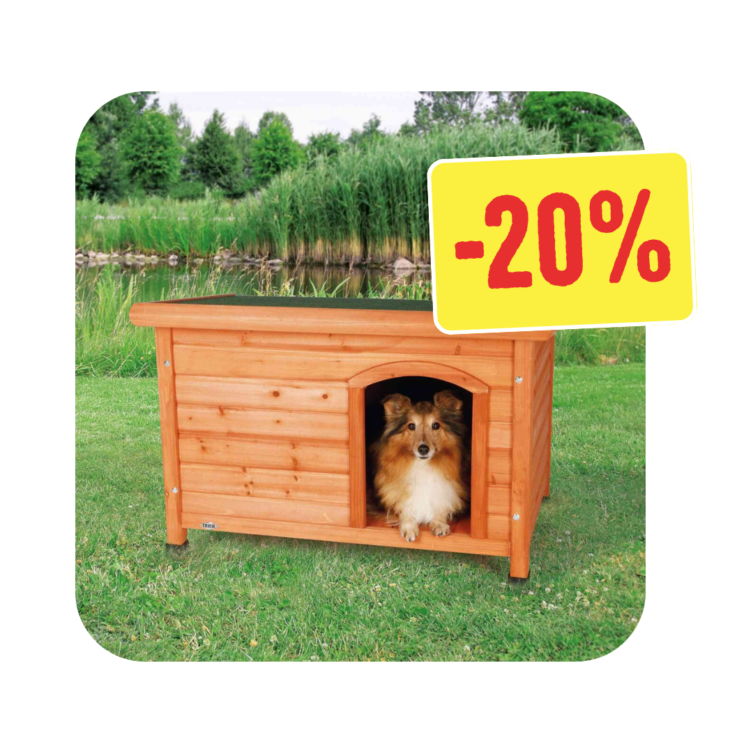 Niche pour chien