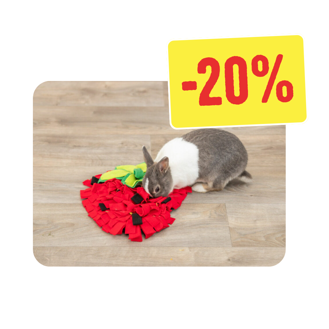 Accessoires pour rongeurs