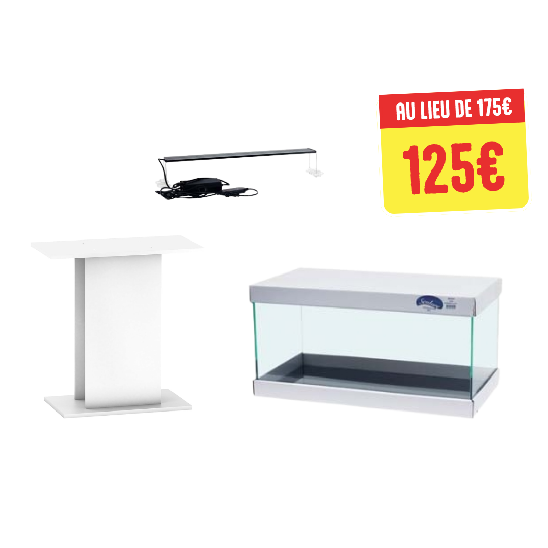 Ensemble aquarium